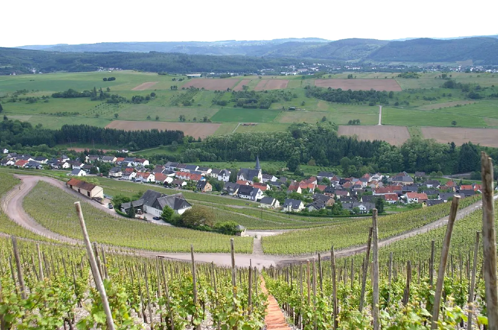 Blick aus den Weinbergen auf den Weinort Ockfen an der Saar